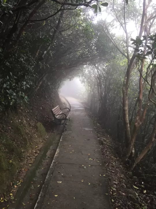Photo of Hong Kong Island by Joshua Leigh Rau