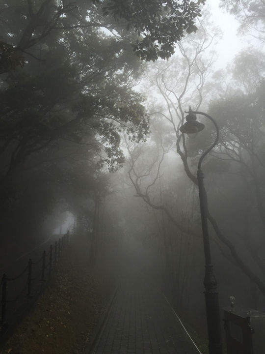 Photo of Hong Kong Island by Joshua Leigh Rau