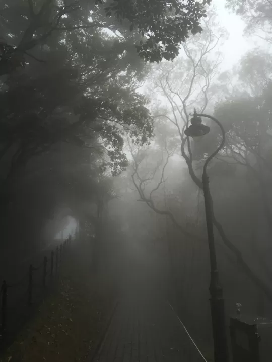 Photo of Hong Kong Island by Joshua Leigh Rau