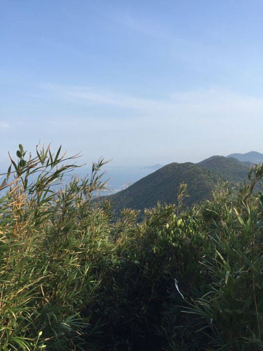 Photo of Hong Kong Island by Joshua Leigh Rau