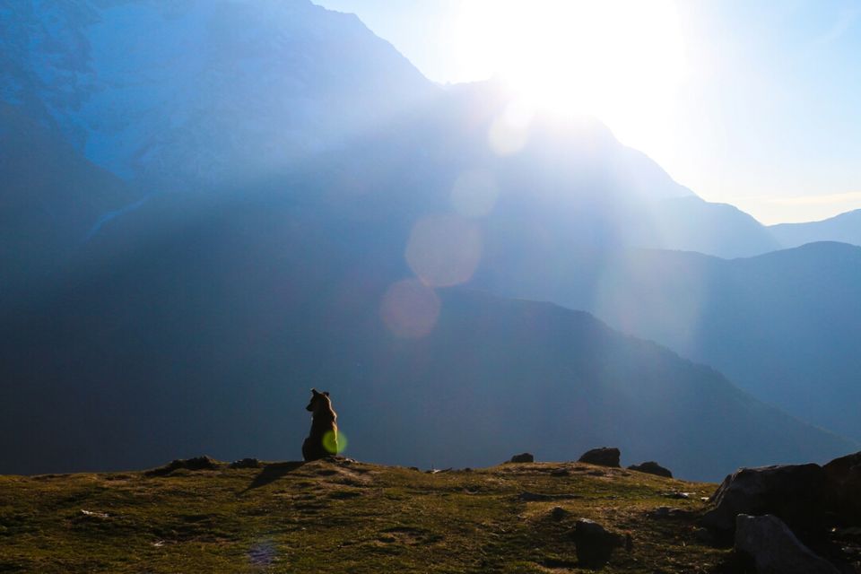 Photo of Triund Adventure by Naveen