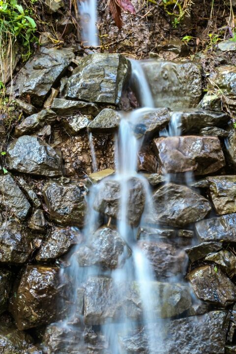 Photo of Triund Adventure by Naveen