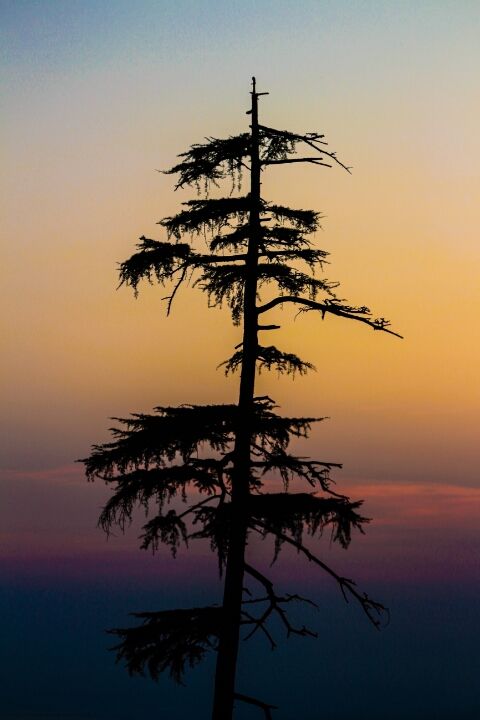 Photo of Triund Adventure by Naveen