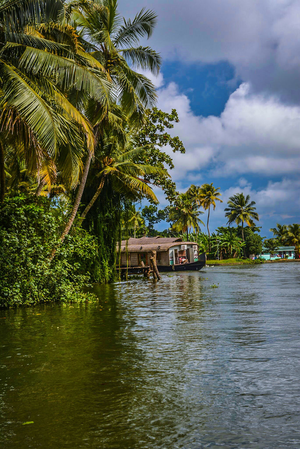 Photo of Southern Odyssey by Sai Sathuluri