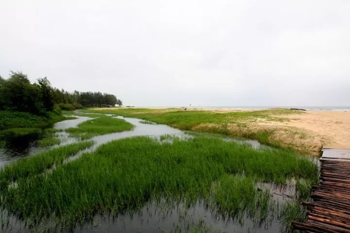 Photo of Utorda Beach, South Goa, Goa, India by Arundhati Sridhar