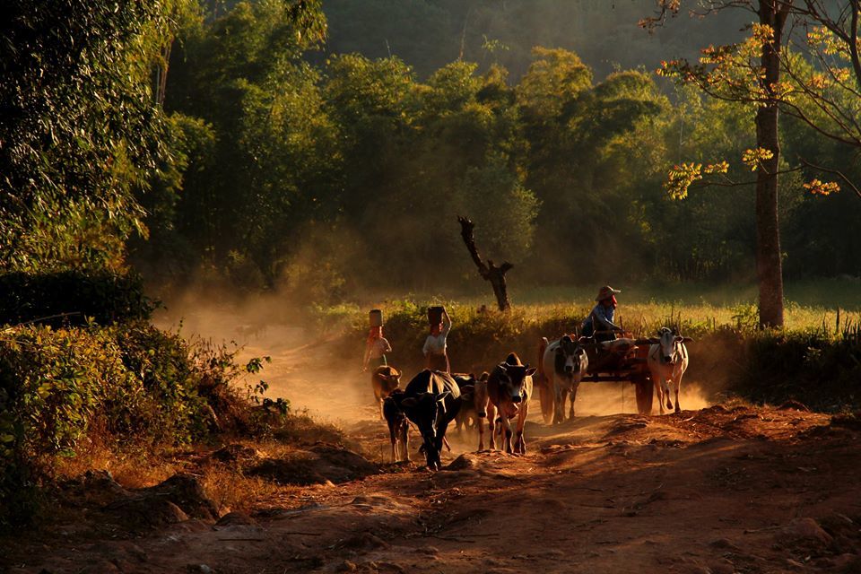 Photo of Backpacking South East Asia: Untouched Myanmar 8/33 by Arundhati Sridhar