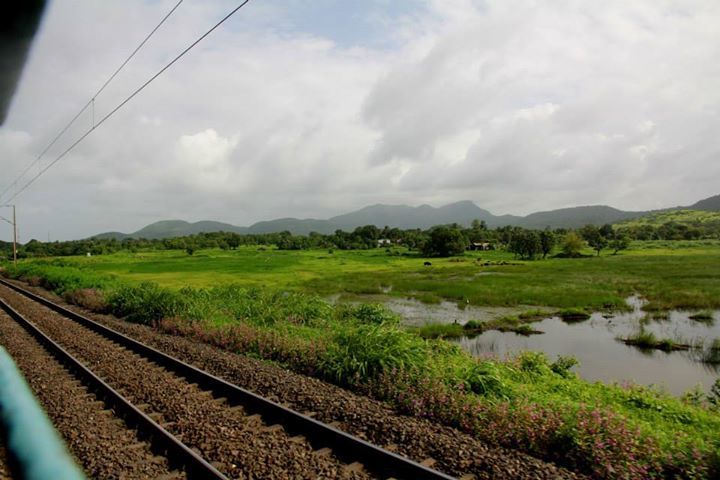 Photo of A Teetotaler's Guide to Goa 10/16 by Arundhati Sridhar