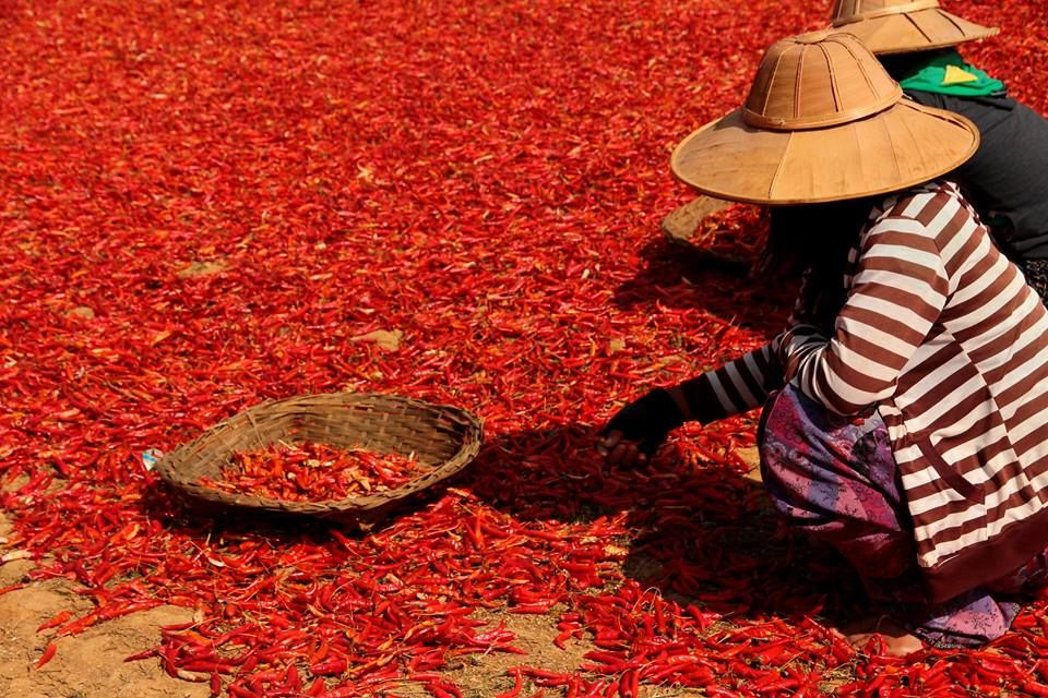 Photo of Backpacking South East Asia: Untouched Myanmar 14/33 by Arundhati Sridhar