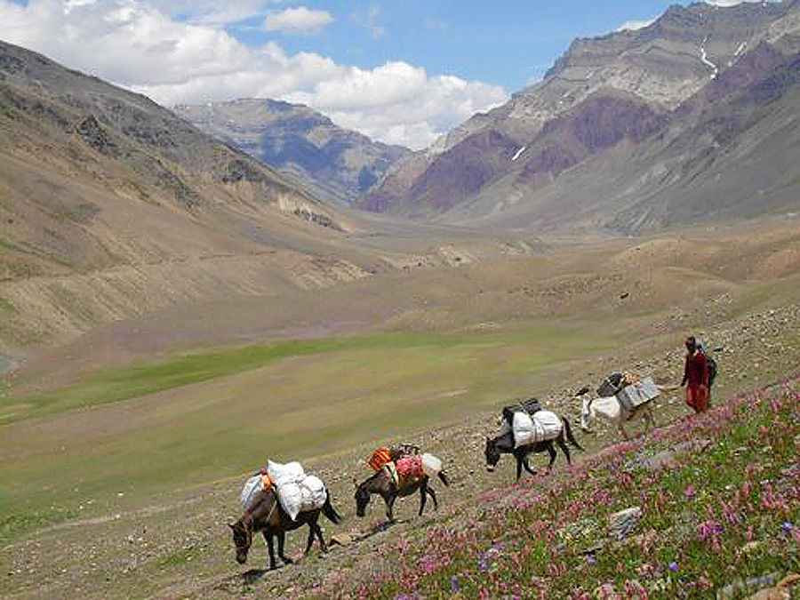 Photo of From cold Dessert to Lush Greenery - Trek through Bhaba Pass in Himachal 5/9 by Moumita Nandy