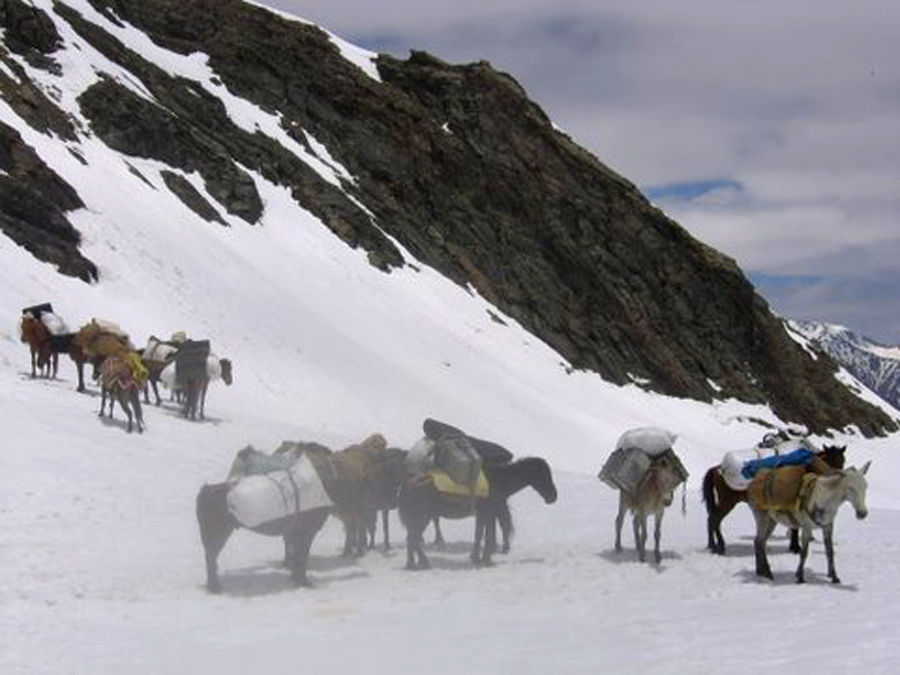 Photo of From cold Dessert to Lush Greenery - Trek through Bhaba Pass in Himachal 6/9 by Moumita Nandy