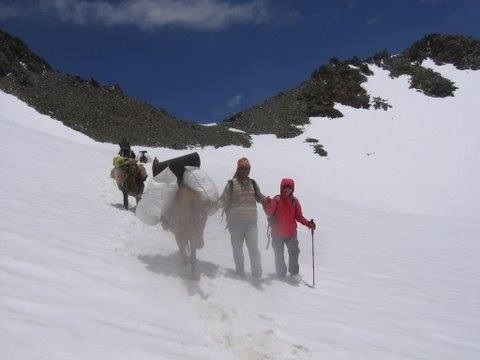 Photo of From cold Dessert to Lush Greenery - Trek through Bhaba Pass in Himachal 8/9 by Moumita Nandy