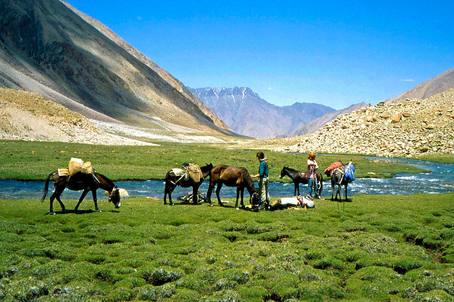 Photo of From cold Dessert to Lush Greenery - Trek through Bhaba Pass in Himachal 7/9 by Moumita Nandy