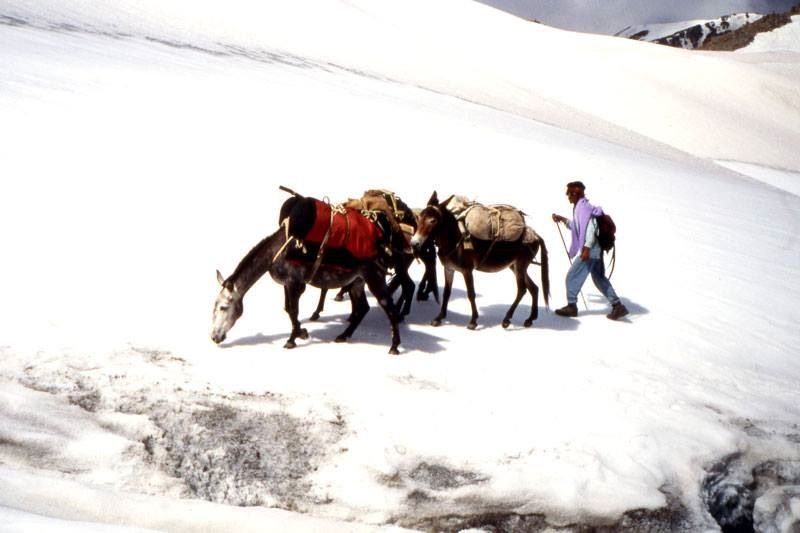 Photo of From cold Dessert to Lush Greenery - Trek through Bhaba Pass in Himachal 9/9 by Moumita Nandy