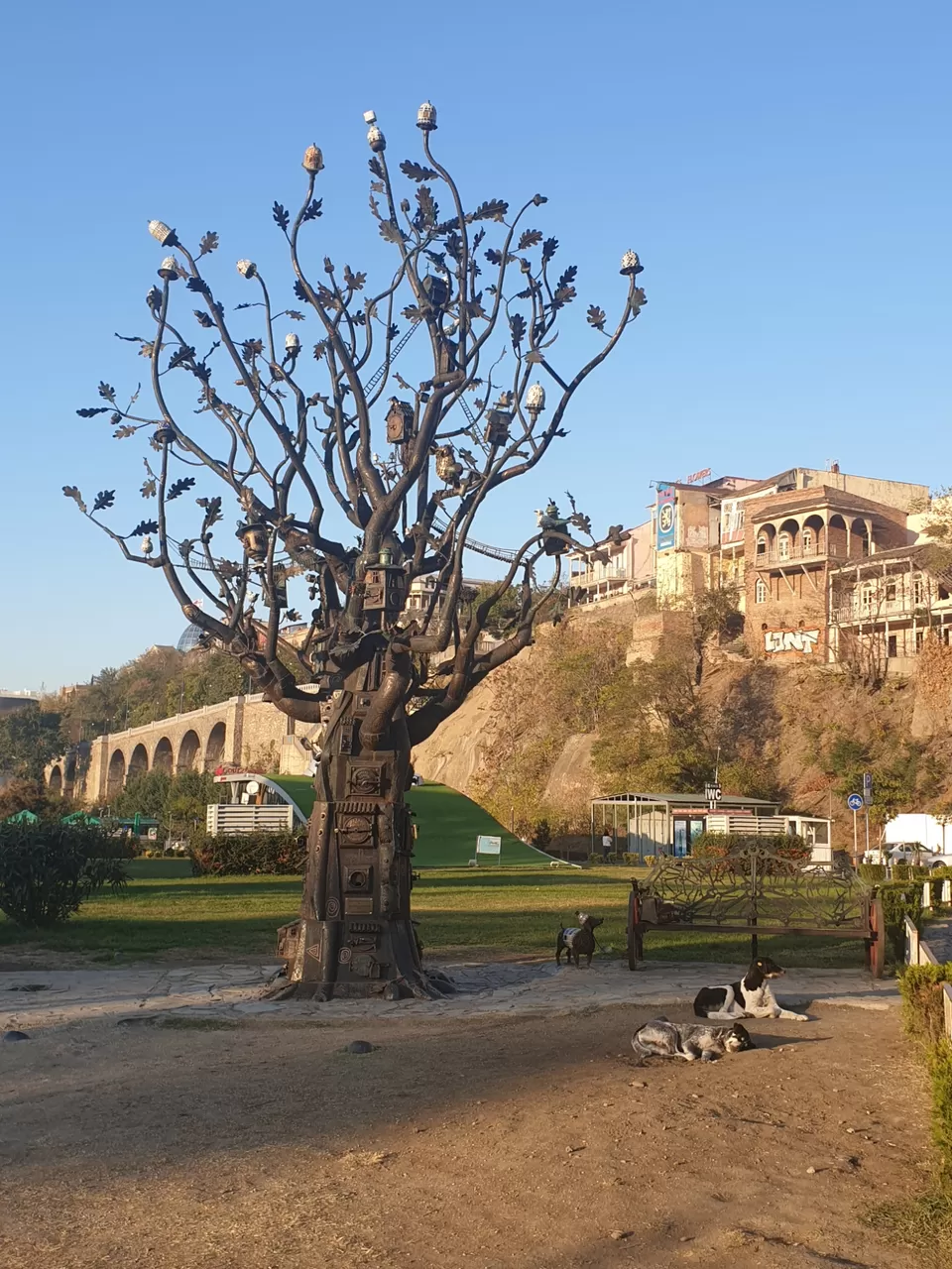 Photo of Georgia by Pranit Agrawal