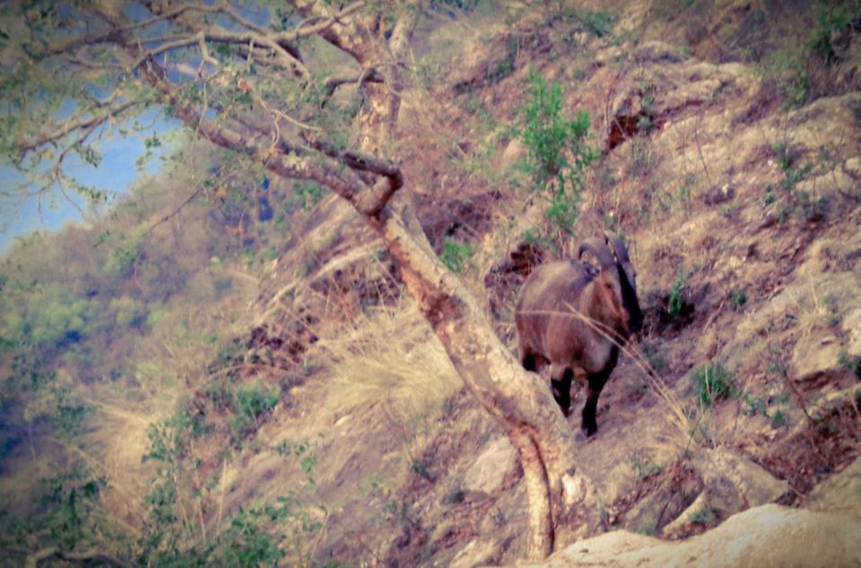 Photo of A solo adventure ride on 'bull' 9/21 by Venuu Zac
