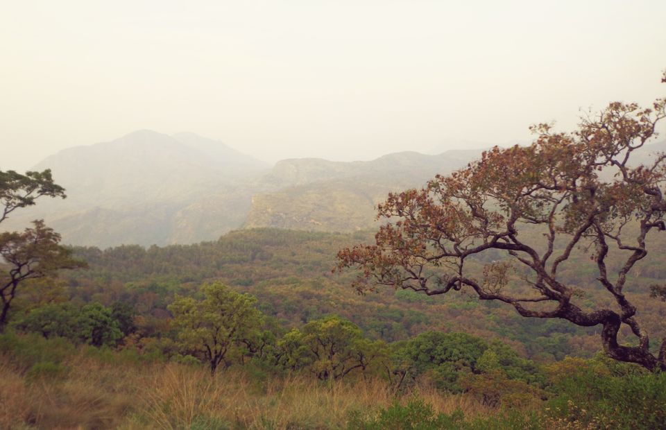 Photo of A solo adventure ride on 'bull' 10/21 by Venuu Zac