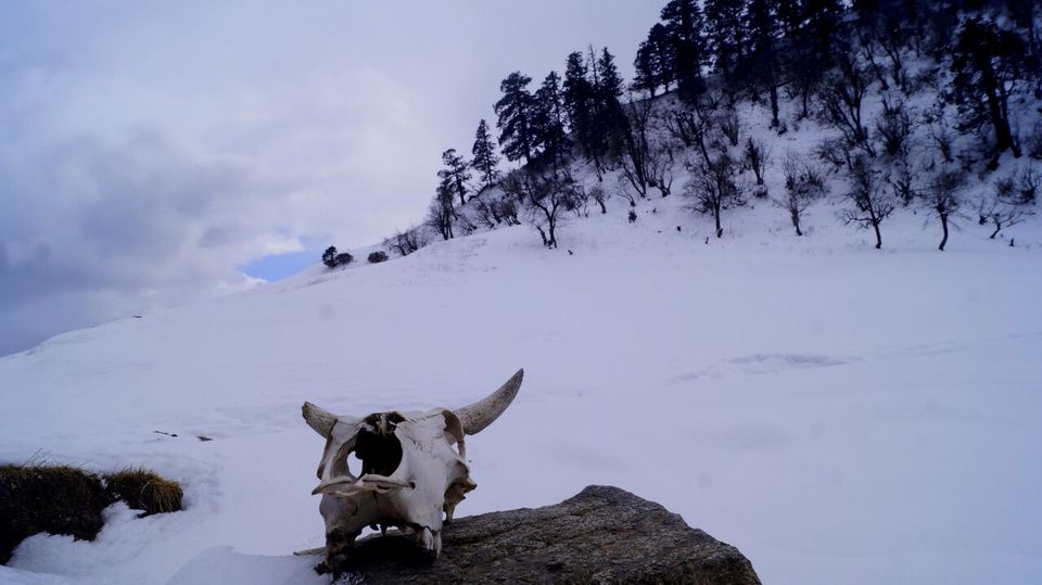 Photo of Dayara Bugyal with a Backpack and motorcycle 7/7 by Arjun Chauhan