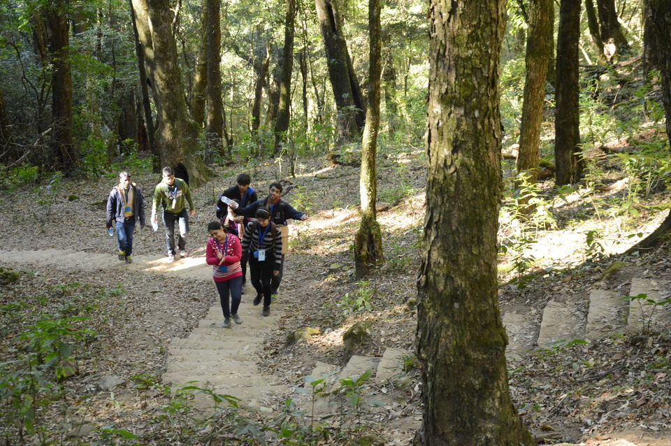 Photo of Exploring the beauty of Nagaland: The Land of Warriors 7/57 by Rachita Sharma