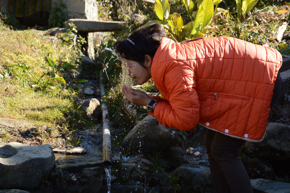 Photo of Exploring the beauty of Nagaland: The Land of Warriors 25/57 by Rachita Sharma