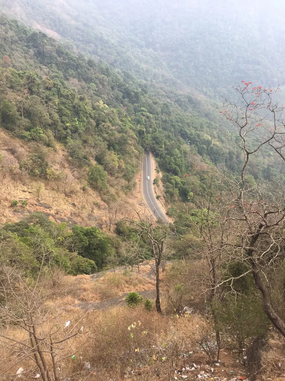 Photo of Lakkidi View Point, Lakkidi, Kerala, India by Abhishek Anand (aKa)