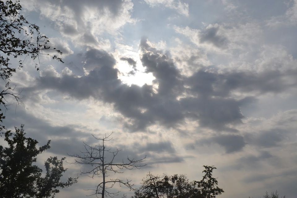 Photo of Karnala - Kar Le ;) A must TreK by Abhishek Anand (aKa)