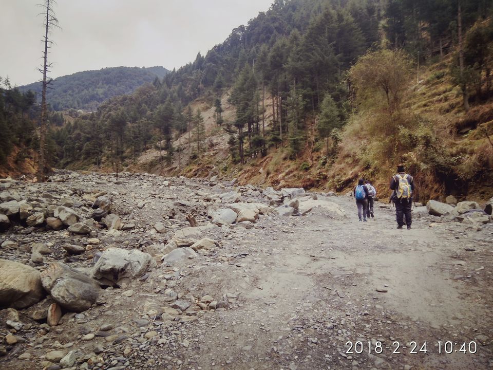 Photo of Baggi, Himachal Pradesh, India by Nisha Rawat
