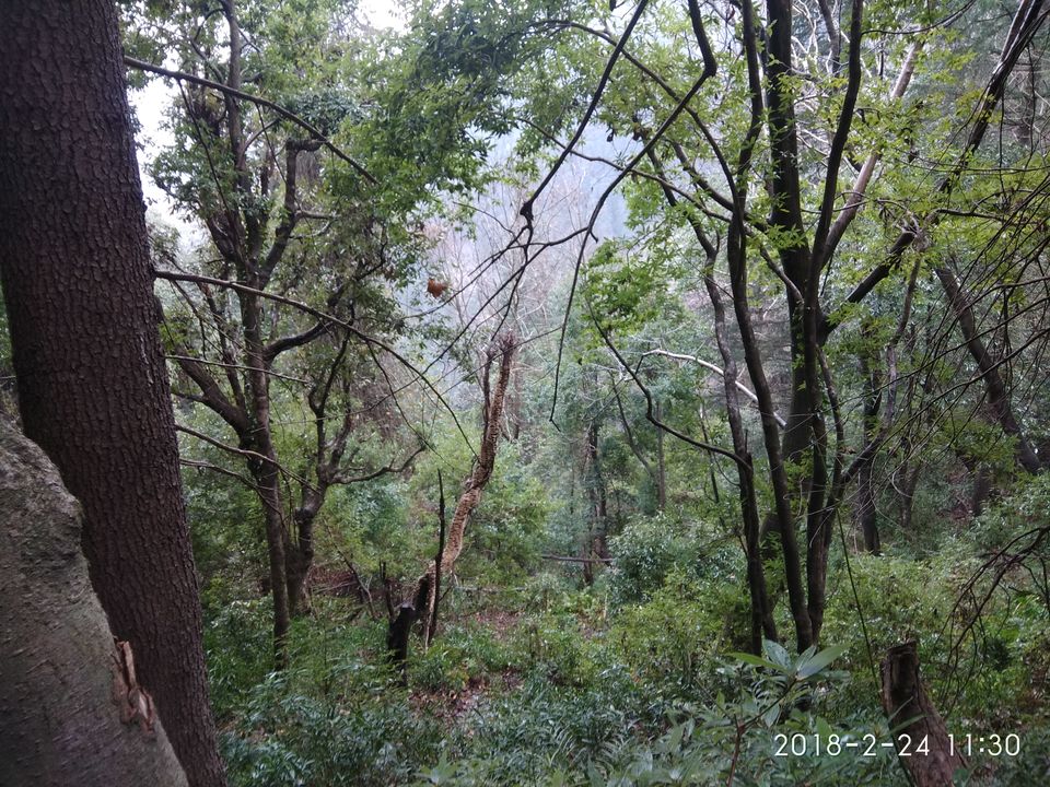 Photo of Baggi, Himachal Pradesh, India by Nisha Rawat