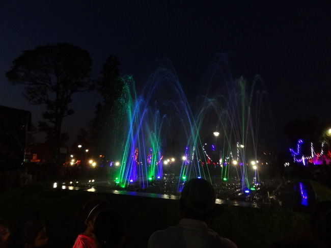 Photo of Weekend Gateway - Coorg 5/12 by Priyanka Nayak