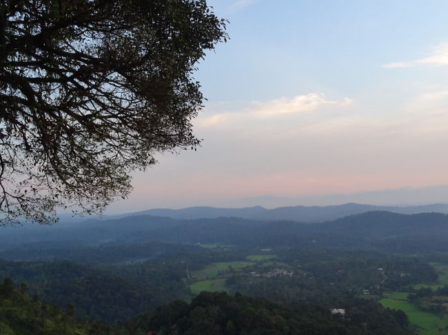 Photo of Weekend Gateway - Coorg 6/12 by Priyanka Nayak
