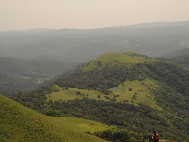 Photo of Weekend Gateway - Coorg 8/12 by Priyanka Nayak
