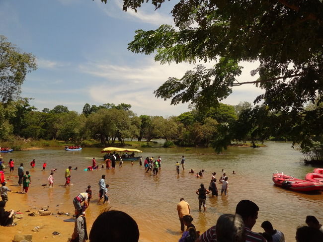Photo of Weekend Gateway - Coorg 9/12 by Priyanka Nayak