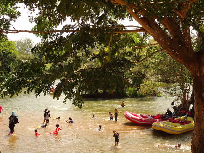 Photo of Weekend Gateway - Coorg 10/12 by Priyanka Nayak