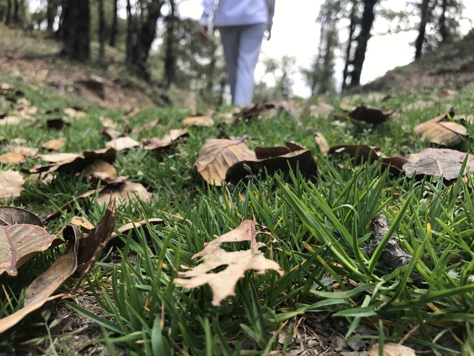 Photo of The Unspoken Adventure of Thachi Valley! 32/58 by Abhinav Raj