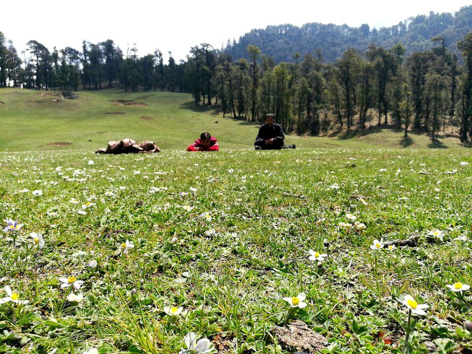 Photo of The Unspoken Adventure of Thachi Valley! 54/58 by Abhinav Raj