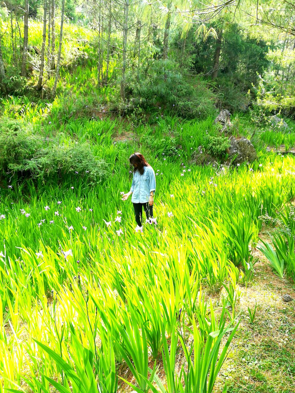 Photo of The Unspoken Adventure of Thachi Valley! 18/58 by Abhinav Raj