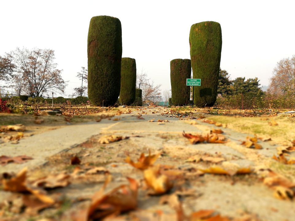Photo of The Kashmir and Beyond! 6/33 by Abhinav Raj