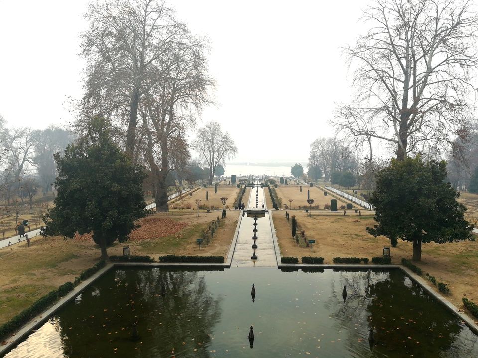Photo of The Kashmir and Beyond! 10/33 by Abhinav Raj