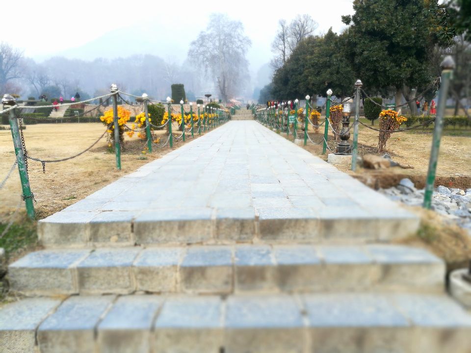 Photo of The Kashmir and Beyond! 12/33 by Abhinav Raj