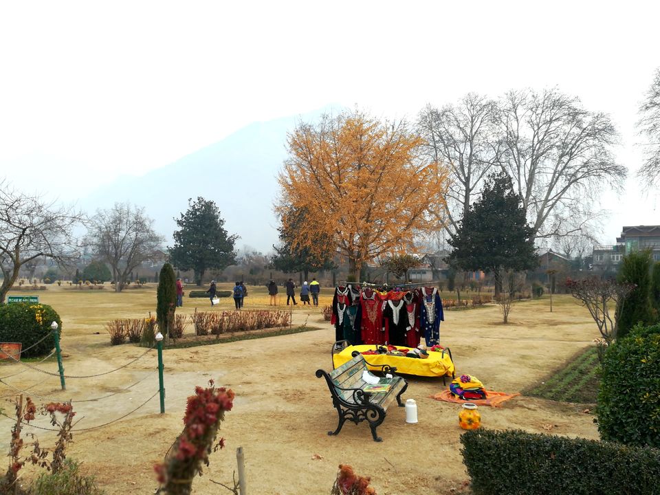 Photo of The Kashmir and Beyond! 14/33 by Abhinav Raj
