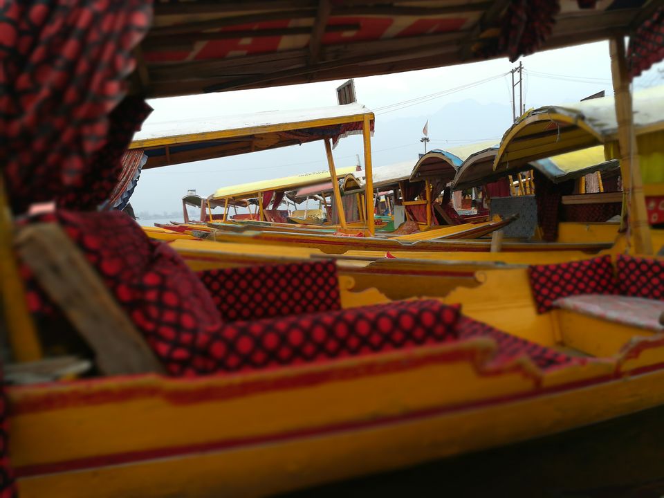 Photo of The Kashmir and Beyond! 17/33 by Abhinav Raj