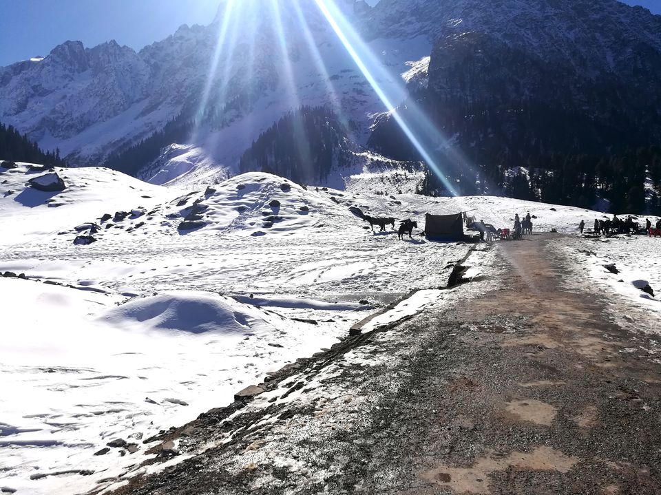 Photo of The Kashmir and Beyond! 30/33 by Abhinav Raj