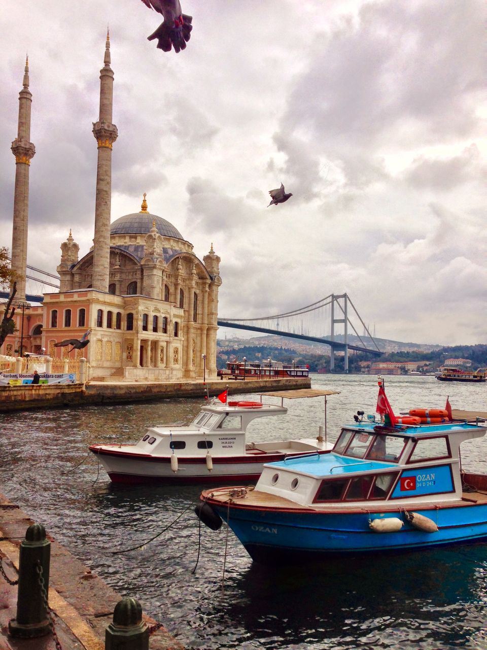 Photo of Bosphorus Cruise, Istanbul, Turkey by Erol Utgun