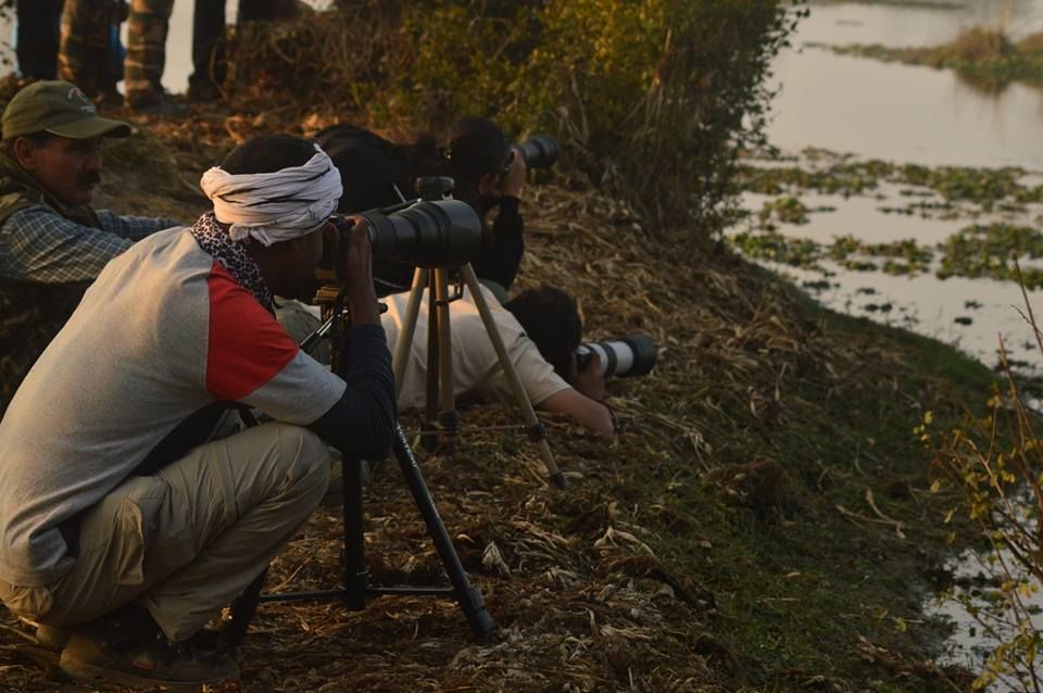Photo of Bharatpur : My first Birding Trip 14/18 by Gargi Patil
