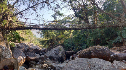 Photo of Nongriat, Meghalaya, India by Aditi Gupta