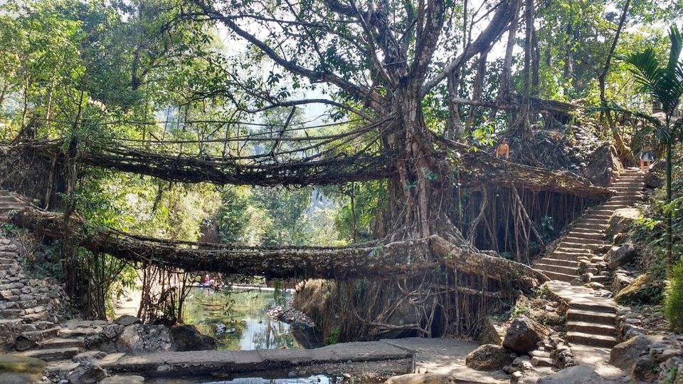Photo of Nongriat, Meghalaya, India by Aditi Gupta