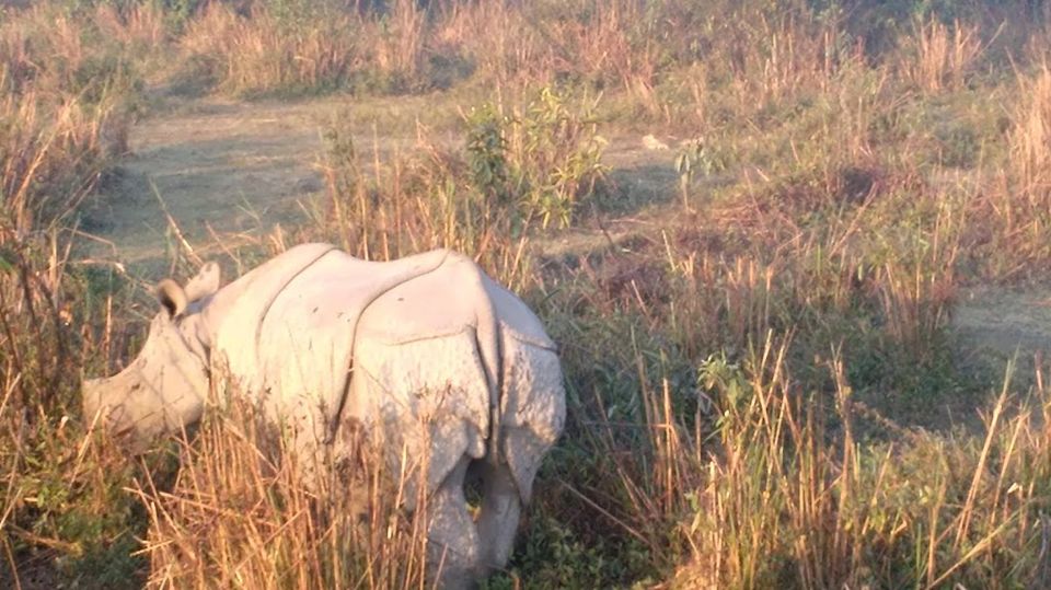 Photo of Kaziranga National Park, Assam, India by Aditi Gupta