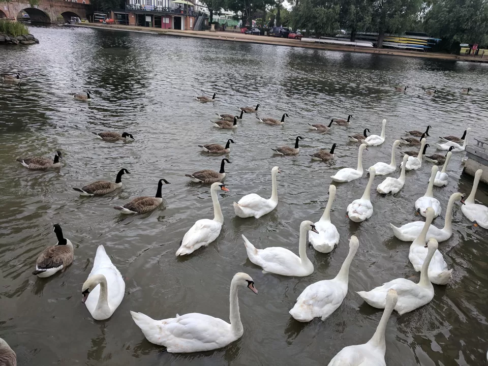 Photo of Stratford-upon-Avon, United Kingdom by Radhika Newar