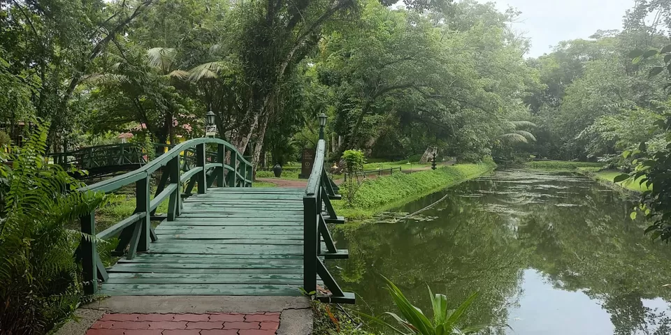 Photo of From Rum to Responsibility – The Kumarakom Detox by SUJITH NB