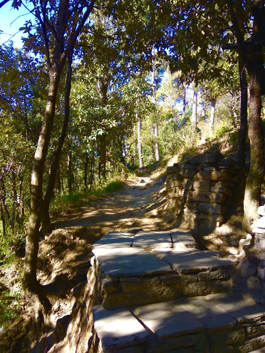 Photo of Binsar, Uttarakhand, India by Palakshi Goswami