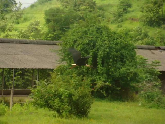 Photo of Peacock Bay, Pune, Maharashtra, India by Rutuja Patil